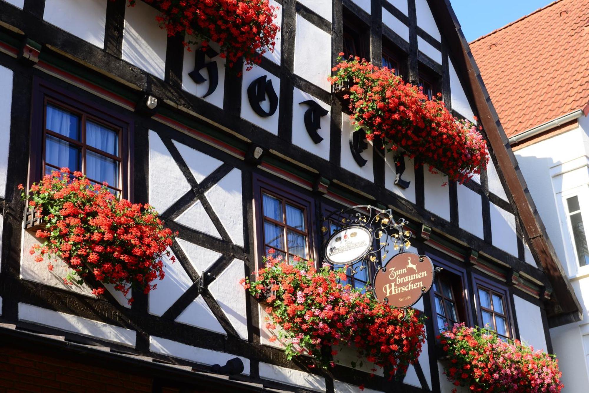 Hotel Zum Braunen Hirschen Bad Driburg Exterior foto